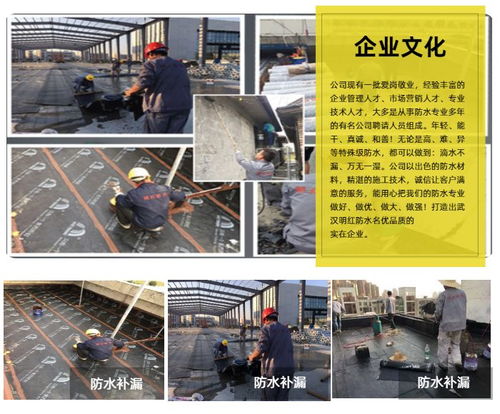 明紅防水補(bǔ)漏 新型防水材料 武漢防水材料