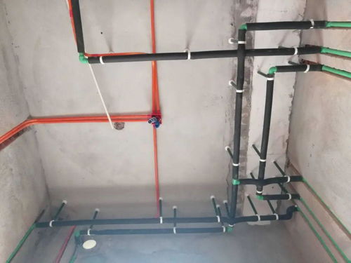 東湖華庭 今年首班發(fā)車,不要錯過喲